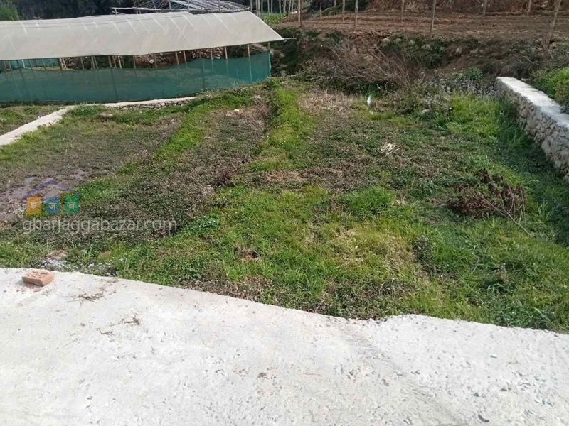 Land on Sale at Goldhunga