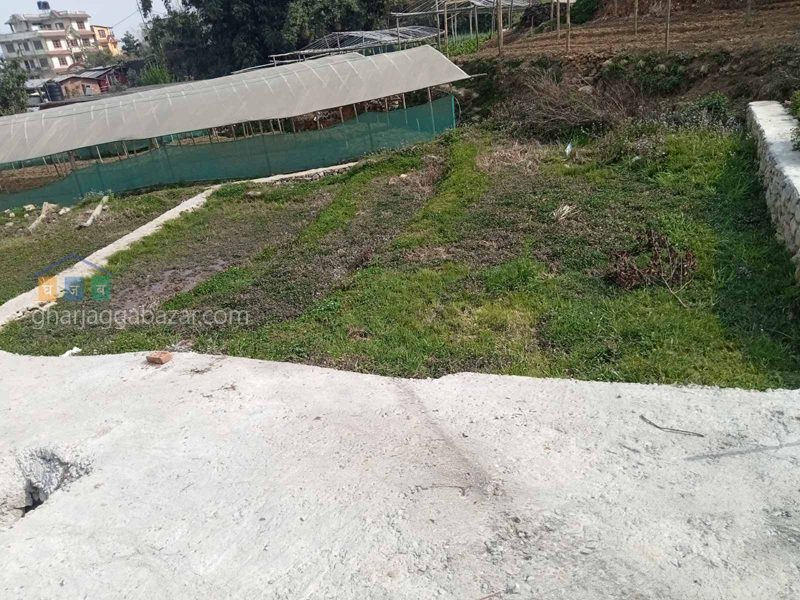 Land on Sale at Goldhunga