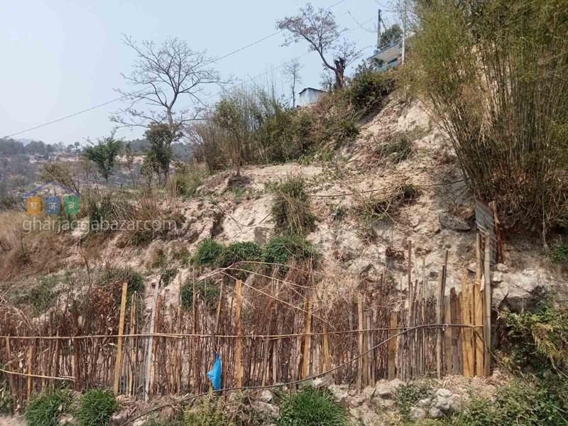 Land on Sale at Narayanthan Taulung