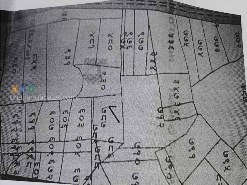 Land on Sale at Dhapakhel