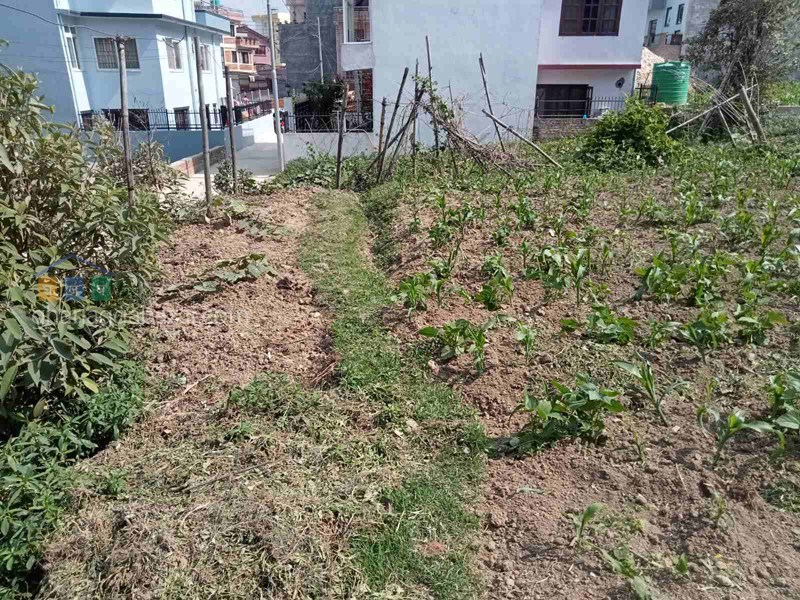 Land on Sale at Dhapakhel