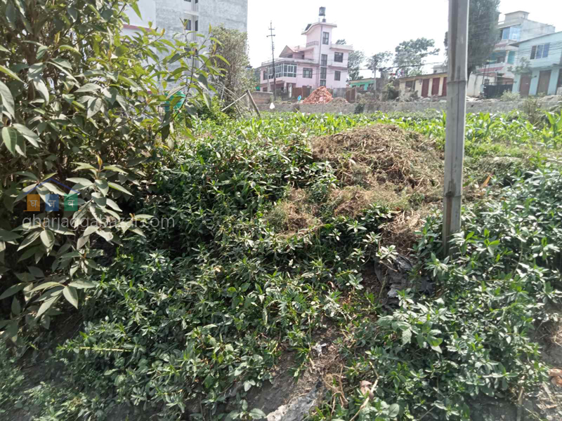 Land on Sale at Dhapakhel