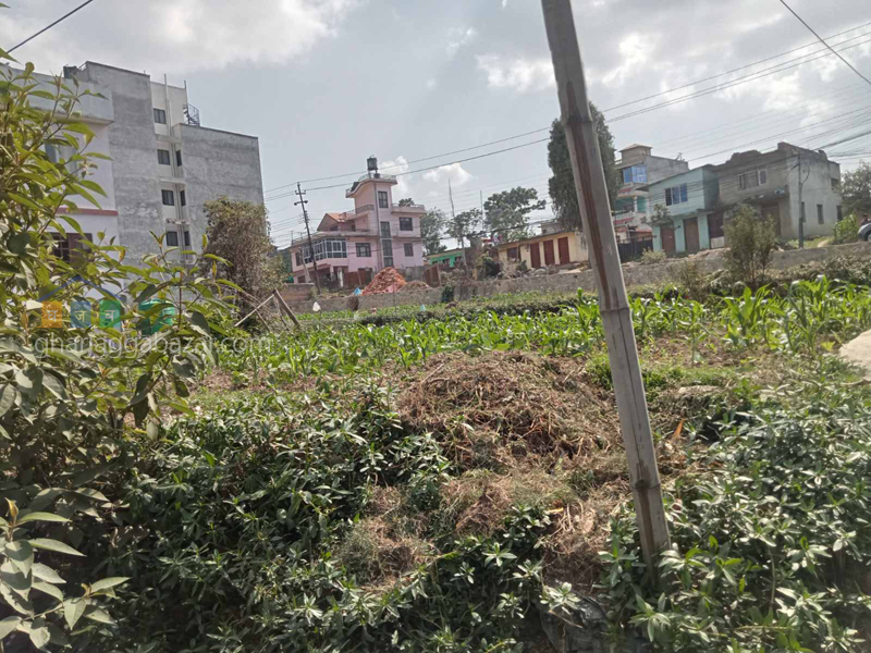 Land on Sale at Dhapakhel