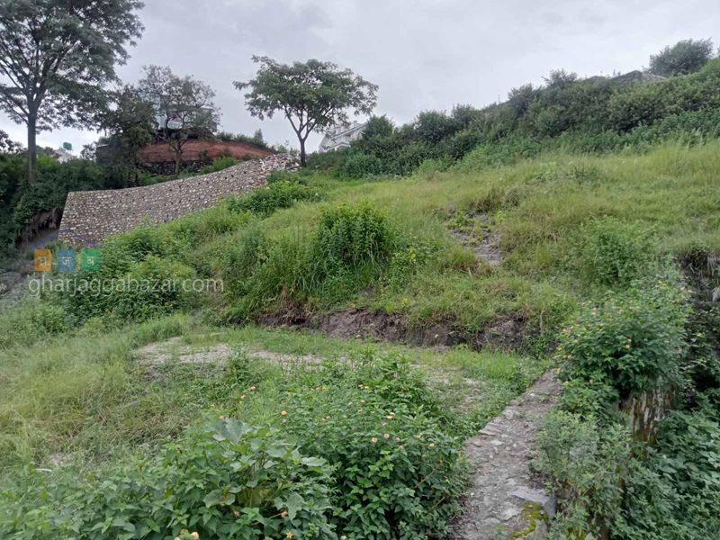 Land on Sale at Chapali