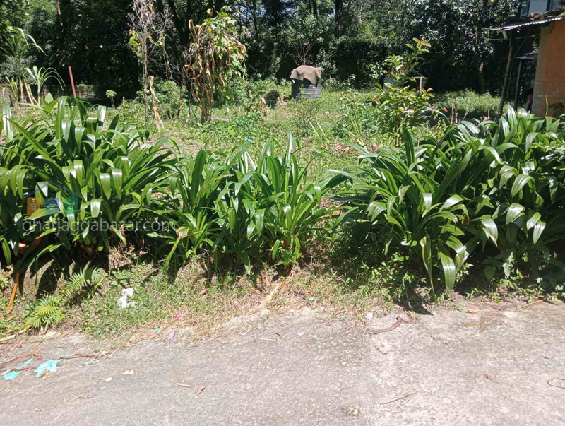 Land on Sale at Bansbari