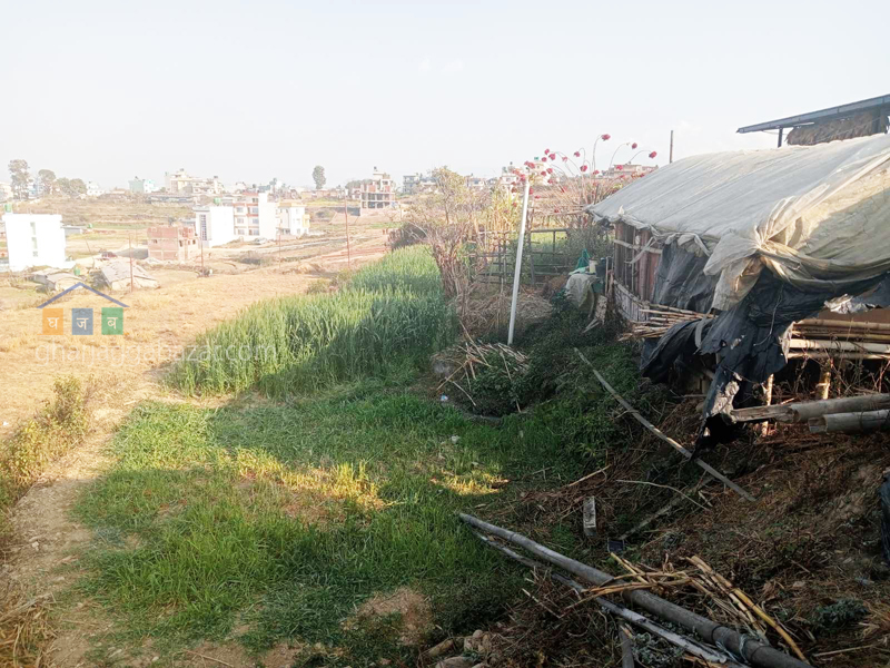 Land for Plotting at Machhegaun