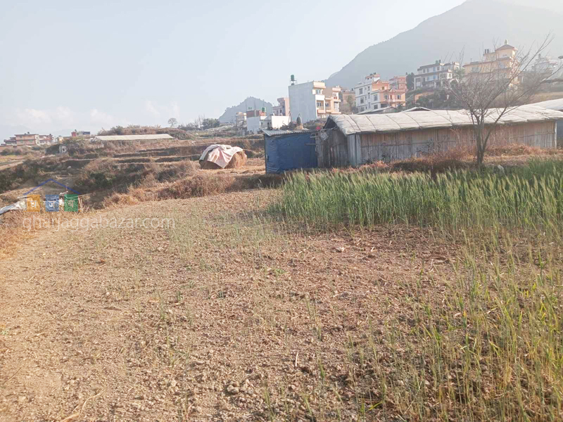 Land for Plotting at Machhegaun