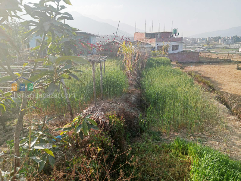 Land for Plotting at Machhegaun