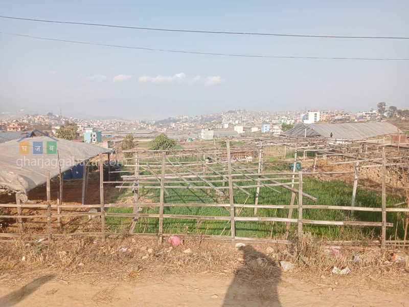 Land for Plotting at Machhegaun