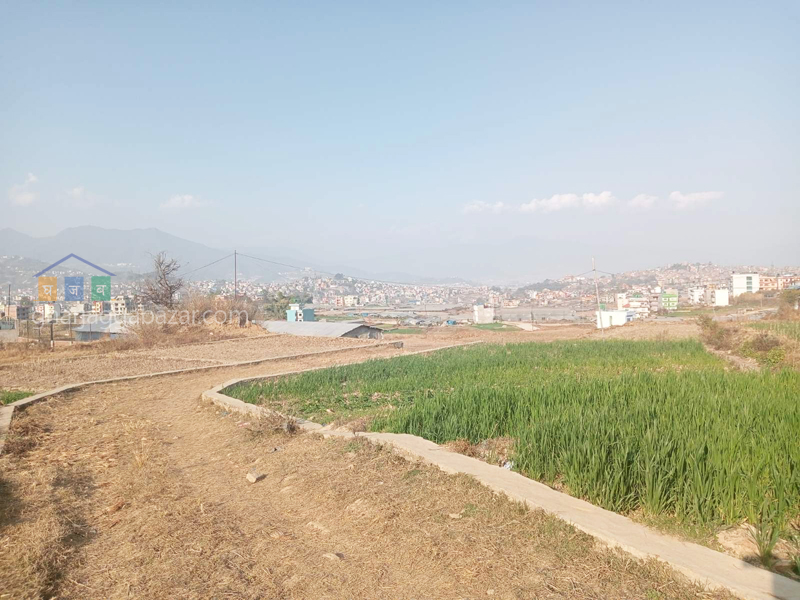 Land for Plotting at Machhegaun