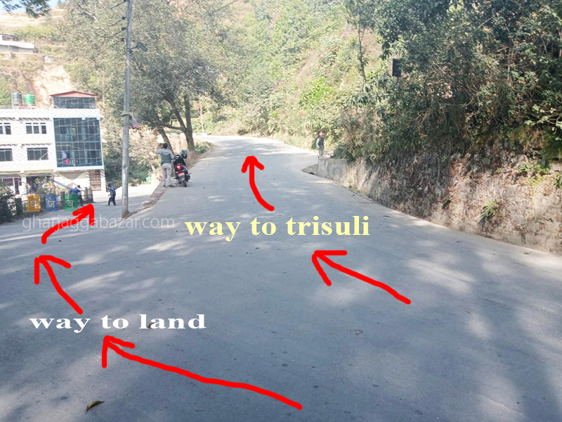 Land on Sale at Tinpiple